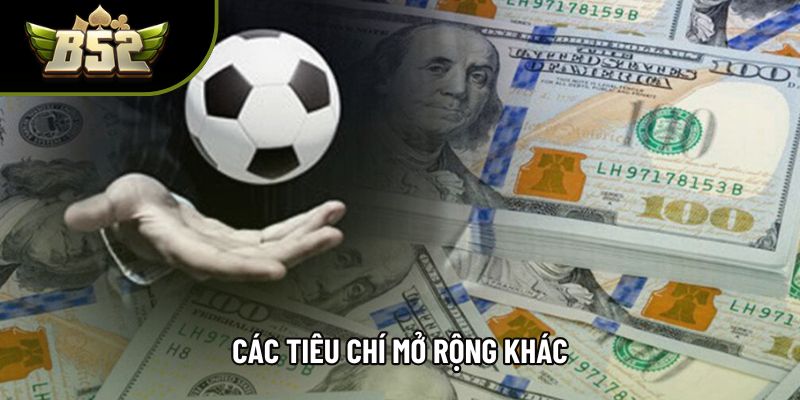 Các tiêu chí mở rộng khác